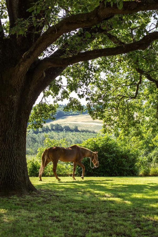 Agriturismo Molino Nuovo Castel San Pietro Terme Eksteriør bilde